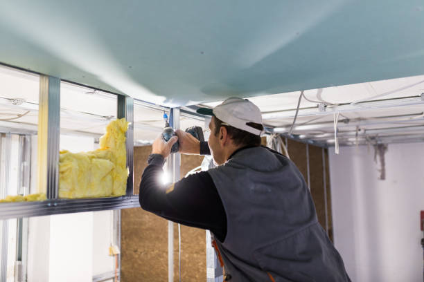 Best Specialized Insulation Services in Leon Valley, TX