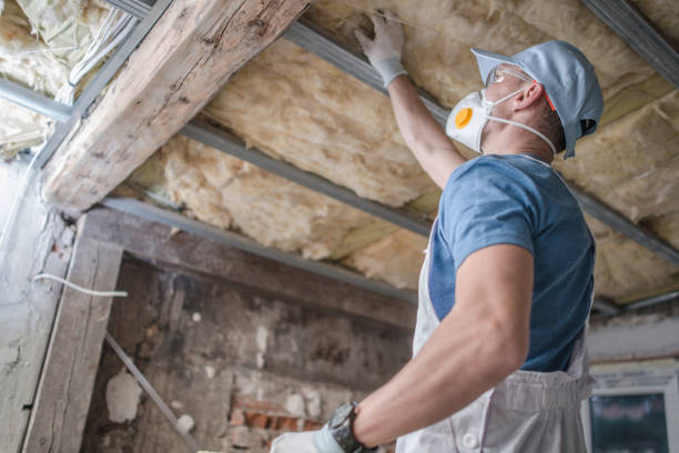 Best Insulation Maintenance and Repair in Leon Valley, TX