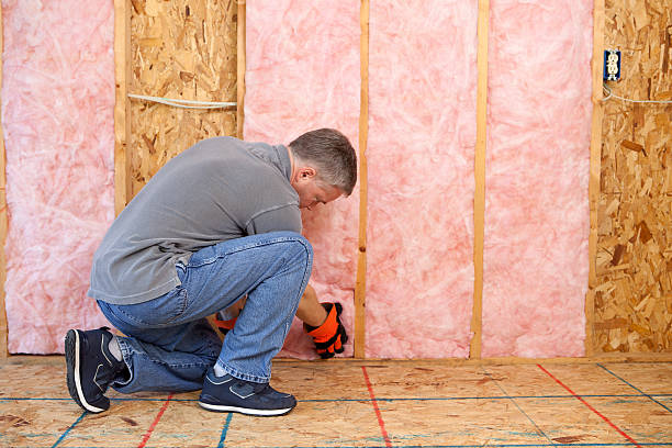 Best Eco-Friendly Insulation in Leon Valley, TX